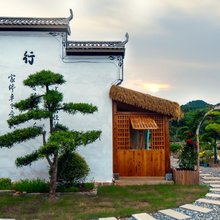 婺源茶园小院