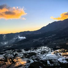 元阳向往民宿(梯田景区店)