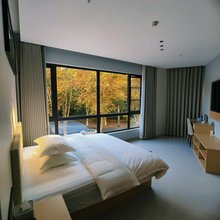 景德镇艺璟酒店(中国陶瓷博物馆古窑民俗博览区店)