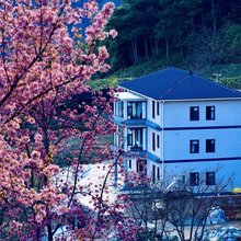 煦和居民宿(无量山樱花谷店)