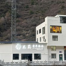 不羁青年旅舍