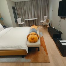 东升民宿(天津天塔地铁站水上公园店)