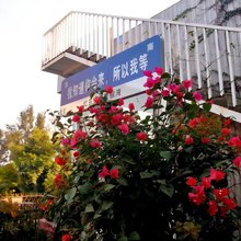 湛江特呈红岛休闲度假湾公寓