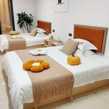 理想·拾光民宿(兰考三农职业学院兰考站店)