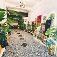 行走的花儿客栈(大理古城洱海门店)