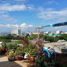 建水草芽国际青年旅舍