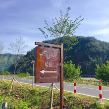 仙居陌上花开暖宿