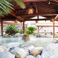 汤连得温泉酒店(上海118店)