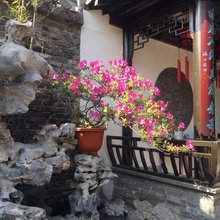 扬州葛园客栈