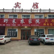 嵖岈山山野菜农家院