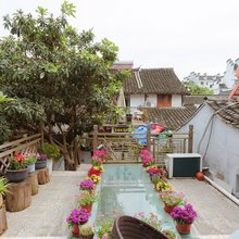 西塘枇杷小院