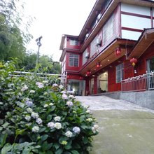 蜀南竹海源林山庄民宿