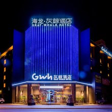 海龙灰鲸酒店(高碑店市政府火车站店)