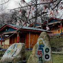 波密拉格桑桃花园民宿