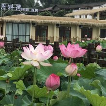 宜宾月畔湾民宿