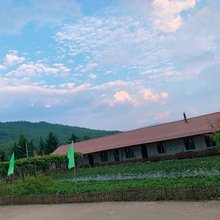 二龙农家院
