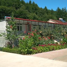 凤城张家庭院民宿