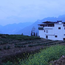恩施云下茶庄住宿