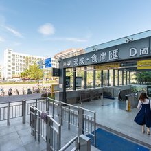 深圳熊本熊青年旅舍