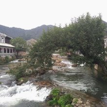宁波蓝莓园客栈
