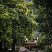 长歌十里·旗山