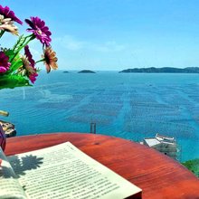 嵊泗枸杞嵊山岛青年旅社(东崖绝壁店)