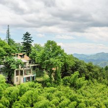 莫干山皇后饭店·松坞别墅群