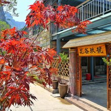 林州花谷玖號客栈(石板岩太行大峡谷景区店)