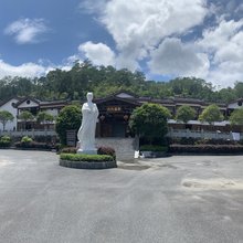汝城九龙白茶庄园