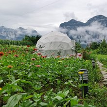 恩施拾光小院民宿