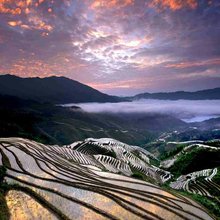 龙脊梯田景园山庄(金佛顶缆车店)