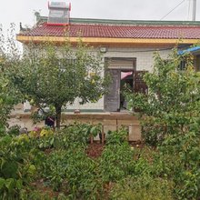 泾源玉兰农家乐