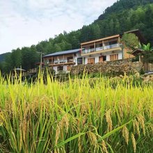武夷山市和鸣山居民宿|鹤鸣山房小院