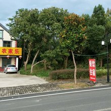舒城白鹿原农家乐