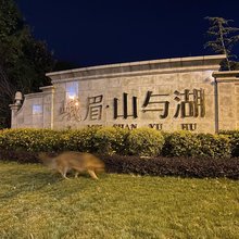 峨眉山山声有信轻奢美宿