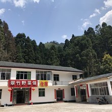 井冈山翠竹野菜馆住宿
