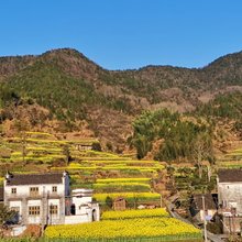 婺源又一村客栈