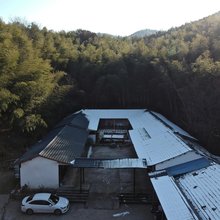 徽姑娘竹里飨食民宿
