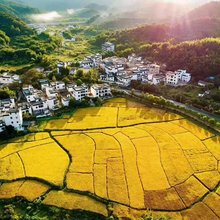 广州稻喜湾温泉民宿