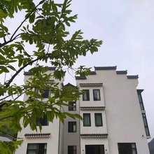 安吉栗子树下民宿