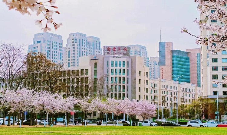 酒店掠影