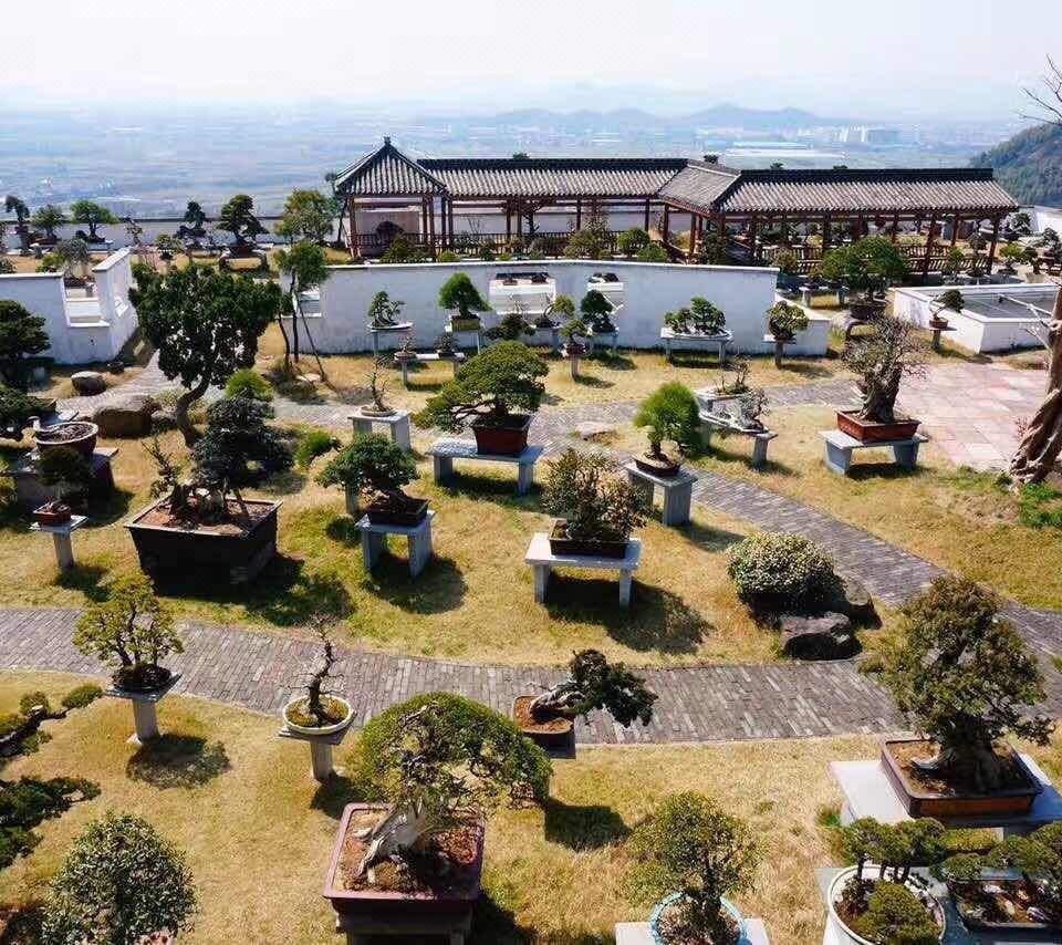 宁波绿野山居度假村图片