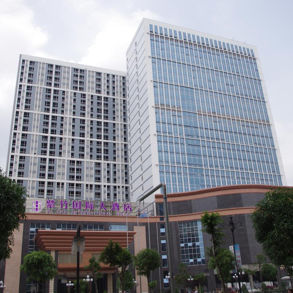 百色紫竹国际大酒店(原川惠大酒店)图片