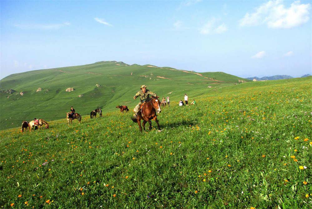amber啵~9空中大草原——藏起来的仙境,位于山西省大同市灵丘县柳科乡