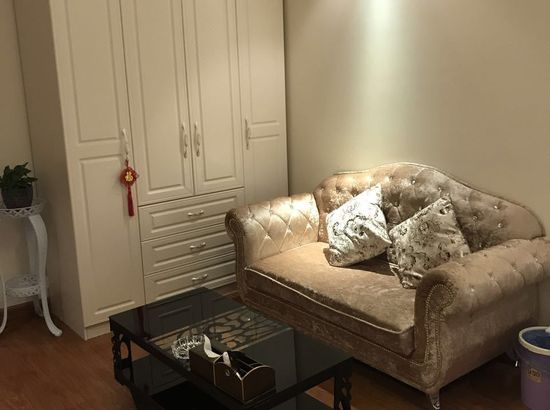 沈阳罗马假日酒店式公寓
