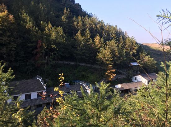 武义青枫谷山庄