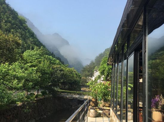 武义青枫谷山庄