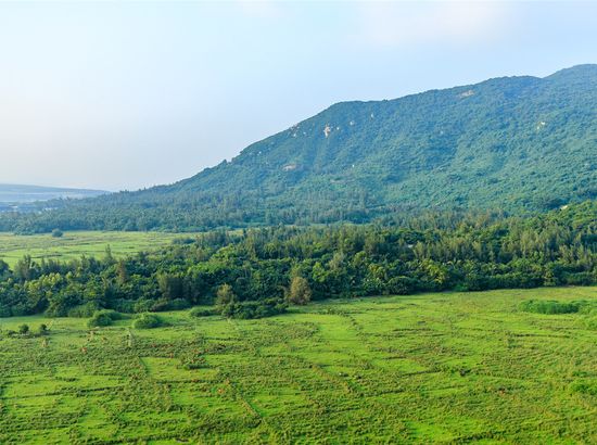 途居客栈(文昌海石滩店)