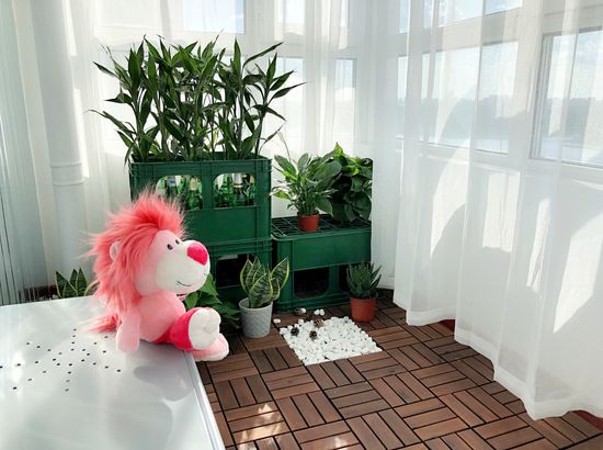 哈尔滨威v普通公寓