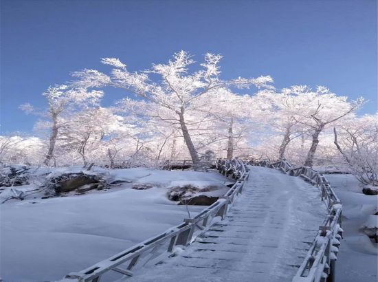 牡丹江雪鄉二浪河珍雪民宿